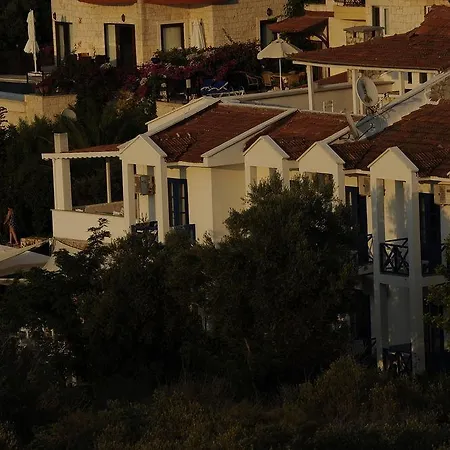 Hotel Thetis 4*
