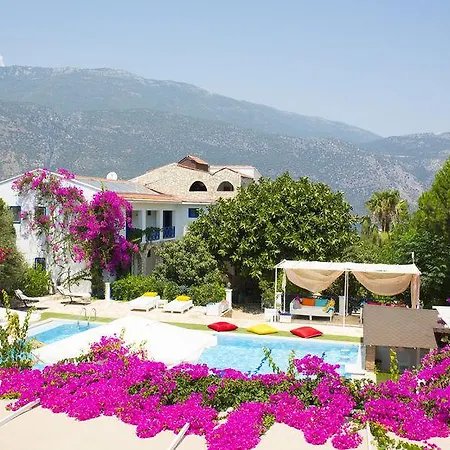 Hotel Thetis 4*