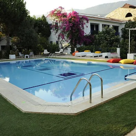 Hotel Thetis
