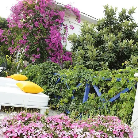 Thetis Hotel Kas