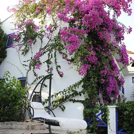 Thetis Hotel 4*