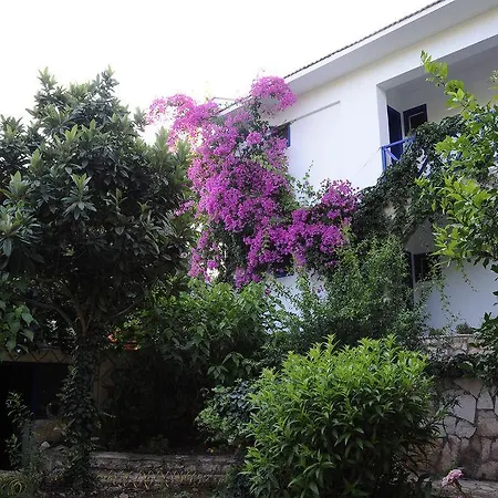 Thetis فندق