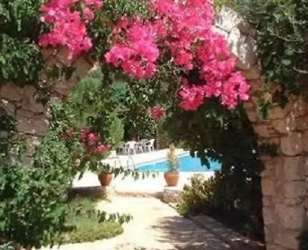 Thetis فندق